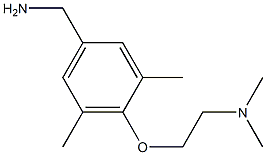 {4-[2-(dimethylamino)ethoxy]-3,5-dimethylphenyl}methanamine Struktur