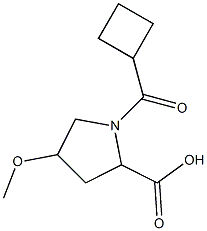 1-(cyclobutylcarbonyl)-4-methoxypyrrolidine-2-carboxylic acid Struktur