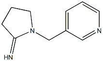 1-(pyridin-3-ylmethyl)pyrrolidin-2-imine Struktur