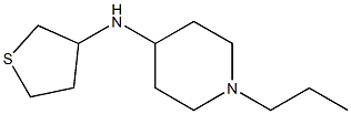 1-propyl-N-(thiolan-3-yl)piperidin-4-amine Struktur