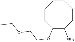 2-(2-ethoxyethoxy)cyclooctan-1-amine Struktur