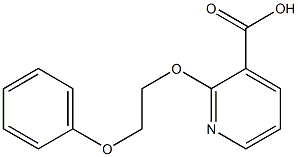 2-(2-phenoxyethoxy)pyridine-3-carboxylic acid Struktur