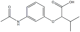 2-(3-acetamidophenoxy)-3-methylbutanoic acid Struktur