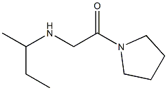 2-(butan-2-ylamino)-1-(pyrrolidin-1-yl)ethan-1-one Struktur