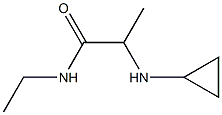 2-(cyclopropylamino)-N-ethylpropanamide Struktur