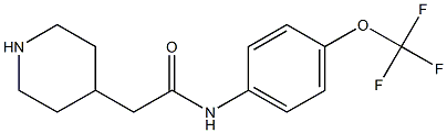 2-(piperidin-4-yl)-N-[4-(trifluoromethoxy)phenyl]acetamide Struktur