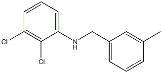 2,3-dichloro-N-[(3-methylphenyl)methyl]aniline Struktur