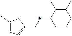 2,3-dimethyl-N-[(5-methylthiophen-2-yl)methyl]cyclohexan-1-amine Struktur