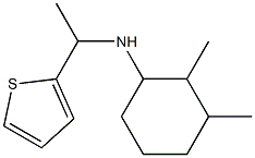 2,3-dimethyl-N-[1-(thiophen-2-yl)ethyl]cyclohexan-1-amine Struktur