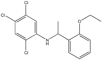 2,4,5-trichloro-N-[1-(2-ethoxyphenyl)ethyl]aniline Struktur