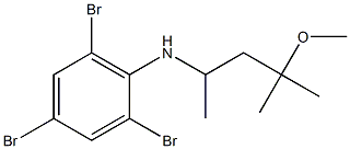 2,4,6-tribromo-N-(4-methoxy-4-methylpentan-2-yl)aniline Struktur