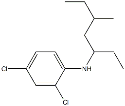 2,4-dichloro-N-(5-methylheptan-3-yl)aniline Struktur