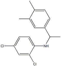 2,4-dichloro-N-[1-(3,4-dimethylphenyl)ethyl]aniline Struktur