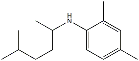 2,4-dimethyl-N-(5-methylhexan-2-yl)aniline Struktur