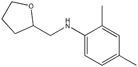 2,4-dimethyl-N-(oxolan-2-ylmethyl)aniline Struktur