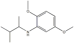 2,5-dimethoxy-N-(3-methylbutan-2-yl)aniline Struktur