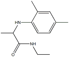 2-[(2,4-dimethylphenyl)amino]-N-ethylpropanamide Struktur