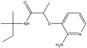 2-[(2-aminopyridin-3-yl)oxy]-N-(2-methylbutan-2-yl)propanamide Struktur