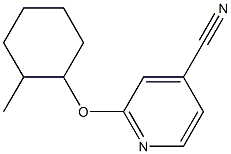 2-[(2-methylcyclohexyl)oxy]pyridine-4-carbonitrile Struktur