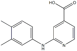 2-[(3,4-dimethylphenyl)amino]pyridine-4-carboxylic acid Struktur