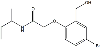 2-[4-bromo-2-(hydroxymethyl)phenoxy]-N-(butan-2-yl)acetamide Struktur