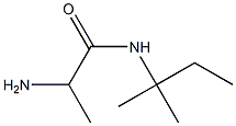 2-amino-N-(1,1-dimethylpropyl)propanamide Struktur