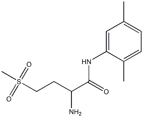 2-amino-N-(2,5-dimethylphenyl)-4-(methylsulfonyl)butanamide Struktur