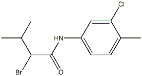 2-bromo-N-(3-chloro-4-methylphenyl)-3-methylbutanamide Struktur