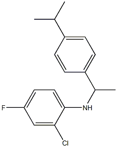 2-chloro-4-fluoro-N-{1-[4-(propan-2-yl)phenyl]ethyl}aniline Struktur