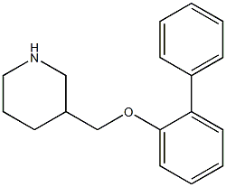 3-(2-phenylphenoxymethyl)piperidine Struktur