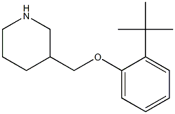 3-(2-tert-butylphenoxymethyl)piperidine Struktur