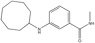 3-(cyclooctylamino)-N-methylbenzamide Struktur