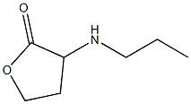 3-(propylamino)oxolan-2-one Struktur