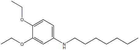 3,4-diethoxy-N-heptylaniline Struktur