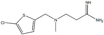 3-{[(5-chlorothiophen-2-yl)methyl](methyl)amino}propanimidamide Struktur