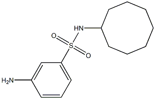 3-amino-N-cyclooctylbenzene-1-sulfonamide Struktur