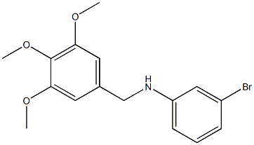 3-bromo-N-[(3,4,5-trimethoxyphenyl)methyl]aniline Struktur