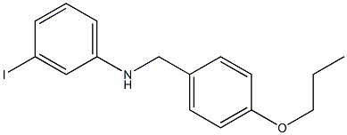 3-iodo-N-[(4-propoxyphenyl)methyl]aniline Struktur