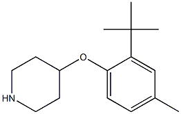 4-(2-tert-butyl-4-methylphenoxy)piperidine Struktur