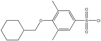 4-(cyclohexylmethoxy)-3,5-dimethylbenzene-1-sulfonyl chloride Struktur