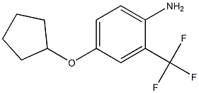 4-(cyclopentyloxy)-2-(trifluoromethyl)aniline Struktur