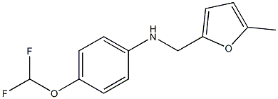 4-(difluoromethoxy)-N-[(5-methylfuran-2-yl)methyl]aniline Struktur