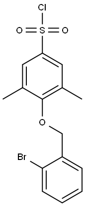 4-[(2-bromophenyl)methoxy]-3,5-dimethylbenzene-1-sulfonyl chloride Struktur