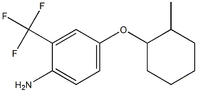 4-[(2-methylcyclohexyl)oxy]-2-(trifluoromethyl)aniline Struktur