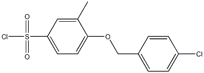 4-[(4-chlorophenyl)methoxy]-3-methylbenzene-1-sulfonyl chloride Struktur