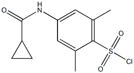 4-[(cyclopropylcarbonyl)amino]-2,6-dimethylbenzenesulfonyl chloride Struktur