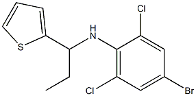 4-bromo-2,6-dichloro-N-[1-(thiophen-2-yl)propyl]aniline Struktur