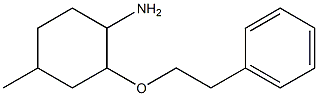 4-methyl-2-(2-phenylethoxy)cyclohexan-1-amine Struktur