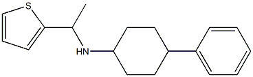 4-phenyl-N-[1-(thiophen-2-yl)ethyl]cyclohexan-1-amine Struktur