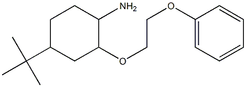 4-tert-butyl-2-(2-phenoxyethoxy)cyclohexan-1-amine Struktur